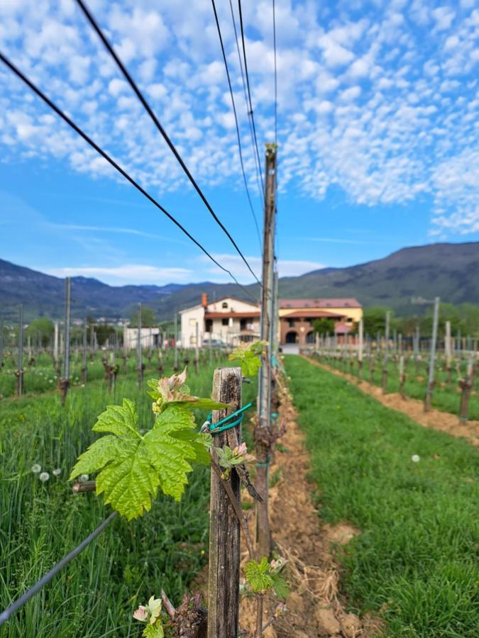Posestvo Rouna - Winery And Apartments 비파바 외부 사진